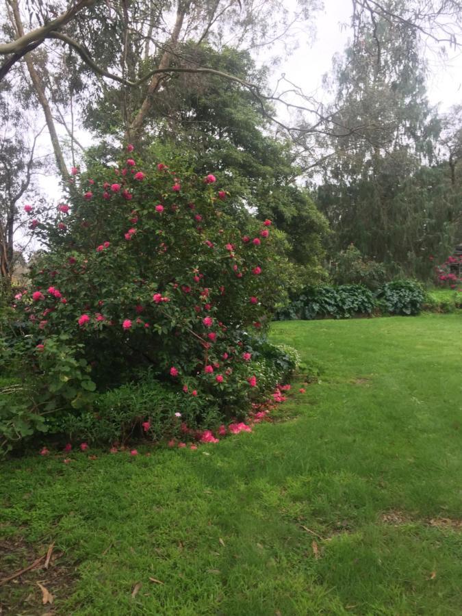 Sherwood Park Bed And Breakfast Somerville Екстериор снимка