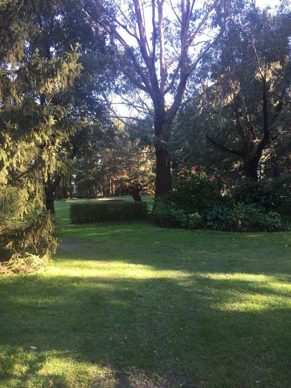 Sherwood Park Bed And Breakfast Somerville Екстериор снимка