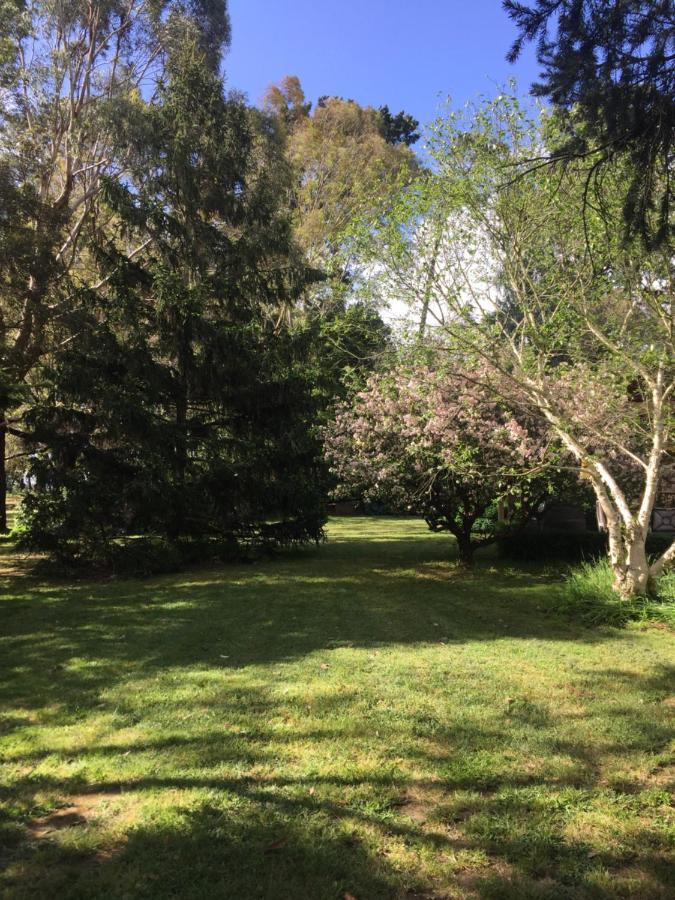 Sherwood Park Bed And Breakfast Somerville Екстериор снимка